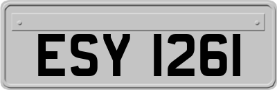 ESY1261