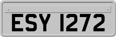 ESY1272