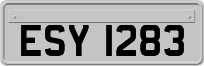 ESY1283