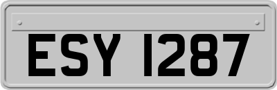 ESY1287