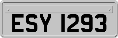 ESY1293