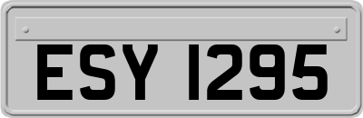 ESY1295