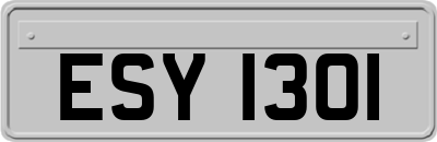ESY1301