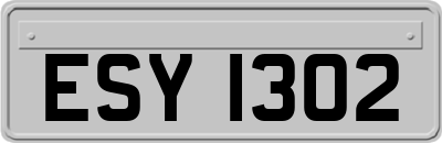 ESY1302