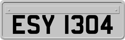 ESY1304