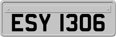 ESY1306