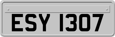 ESY1307