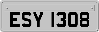 ESY1308