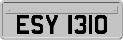 ESY1310