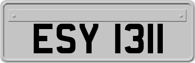 ESY1311