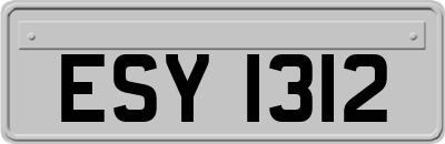 ESY1312