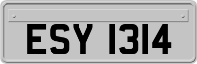 ESY1314