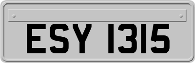 ESY1315