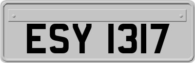 ESY1317