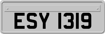 ESY1319