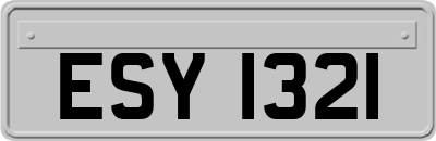 ESY1321