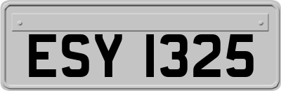 ESY1325