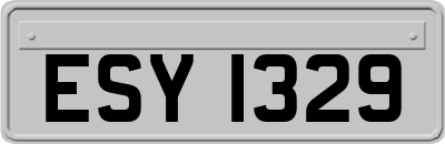 ESY1329