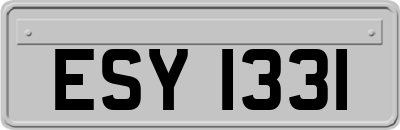 ESY1331