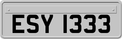ESY1333