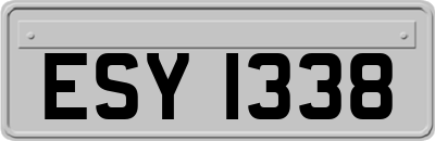 ESY1338