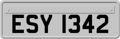 ESY1342