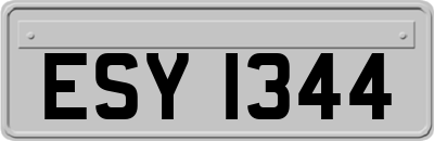 ESY1344