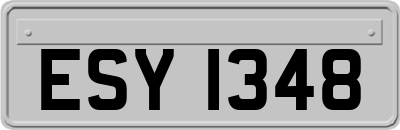 ESY1348