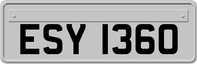 ESY1360