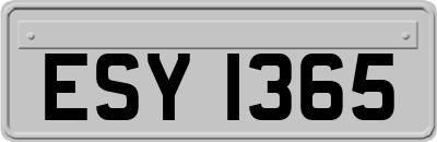ESY1365