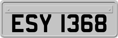 ESY1368
