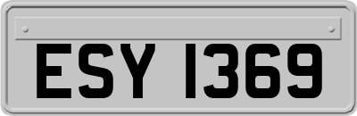 ESY1369