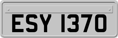 ESY1370