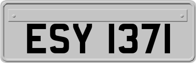 ESY1371