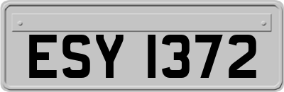 ESY1372