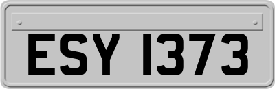 ESY1373