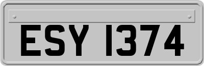 ESY1374