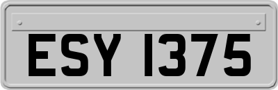 ESY1375