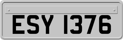 ESY1376