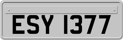 ESY1377