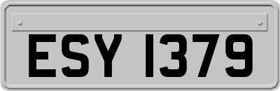 ESY1379