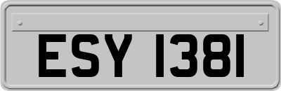 ESY1381