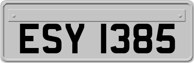 ESY1385