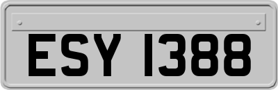 ESY1388