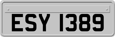 ESY1389