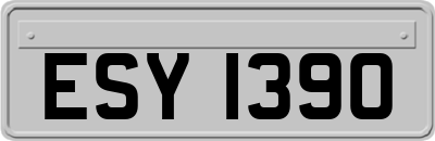 ESY1390