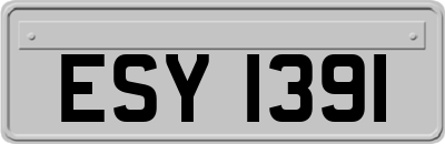 ESY1391