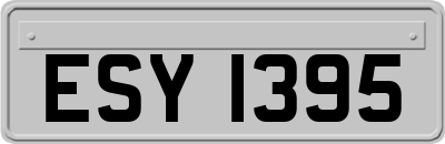 ESY1395
