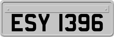 ESY1396