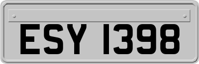 ESY1398